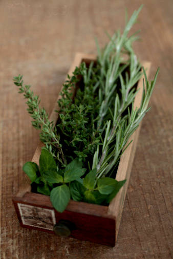 这个更夏天不能没有香草