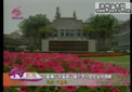 鹿城“多篇章”铺开学习型党组织创建