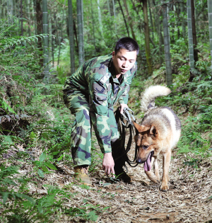 【好协警、好保安系列报道】训练逃犯克星的使