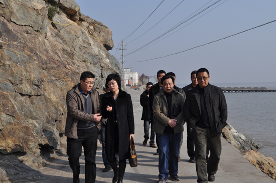 县领导赴鹿西乡现场办公解难题