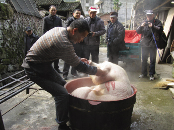 杀女人吃肉杀女人吃肉恐怖图片看看杀女人吃肉图片