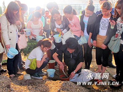 我县开展大学生村官"绿色创业"实践活动图片