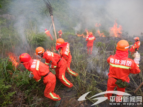 森林消防队扑灭山火