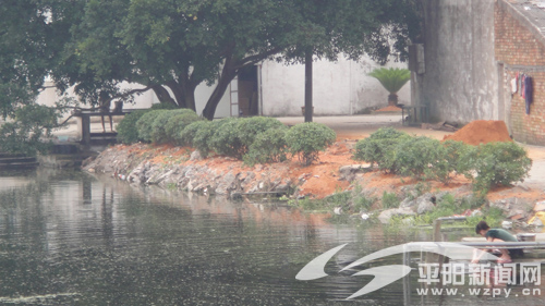 大部分镇(乡)行动迅速整改有效--平阳网