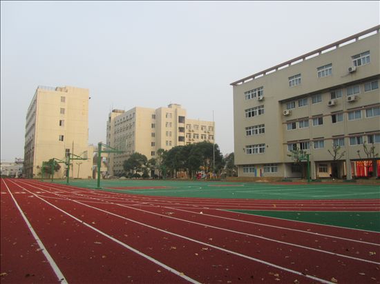 学校主要骨干教师由温州市建设小学选派,并担任学科负责人.