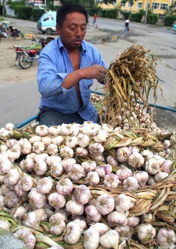 中国蒜乡打响蒜王争霸赛 沃夫特减肥增效造福