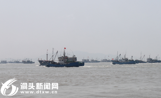 鹿西乡渔民举杯喝下丰收酒,祈愿今年好收成。 金霞霞摄 洞头网讯(记者 陈燕燕)喝下一杯丰收酒,今年扬帆好收成。今天,东海为期三个月的休渔期全面解禁,中午12点,我县832艘渔船从海岛各个码头出发扬帆东海海面。鹿西乡还于上午10点在鹿西码头举行了开渔仪式。 本次休渔结束后,出海捕捞的渔船有从事拖网、张网以及部分刺网、围网的船只。今年,我县的大部分渔船根据自身渔船条件和作业习惯将集中在浙江海域C类渔区进行捕捞作业,捕获的海产品可能主要以带鱼为主,还将有少量的鲳鱼、马鲛鱼等。 据了解,经过前期休整