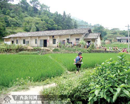 这一场景,看似单调,却俨然一幅美丽的风景画,定格在(广西)北流市六