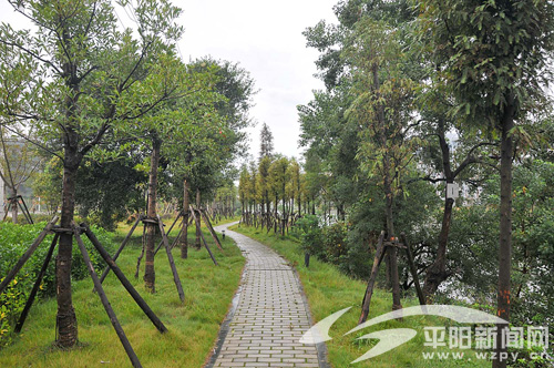 万全轻工基地家具园区道路景观一期工程交付使