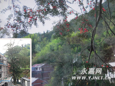 ������רҵ�塱�����조�춹ɼ������