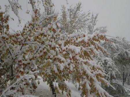 10471420_026331.jpg