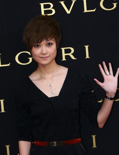 揭秘女明星的真实收入 范冰冰第一-出场费,女星