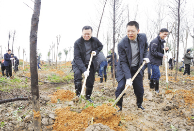 建设绿色瑞安 美化家园环境