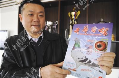 胡振宇介绍道,它们不但有漂亮的外形,还有超强的比赛能力:"美丽人生"