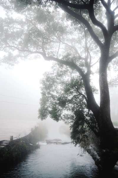 雨中黄坦洞