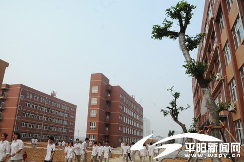 鳌江中学--平阳网; 鳌江中学新校区投入使用  (500x332); 【鳌江中学