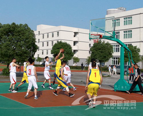 :世纪大道绿化带预计年内完成绿化工作--平阳网