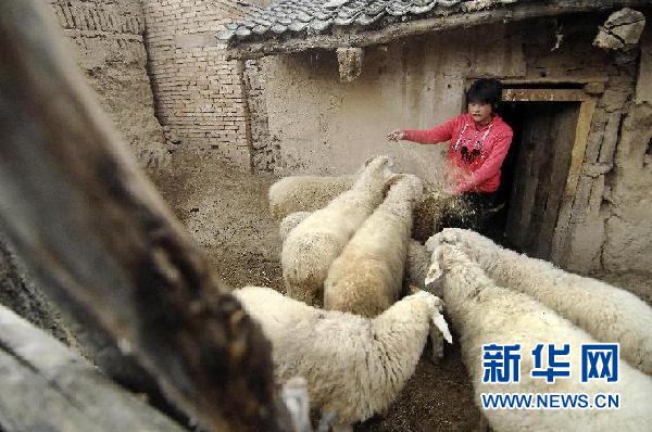 ���߻��㡤ͼ�Ļ�������11������������ƶ��