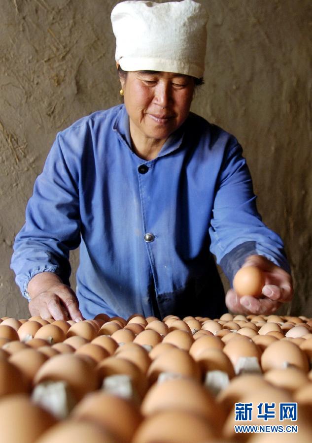 ���߻��㡤ͼ�Ļ�������6������������ƶ��