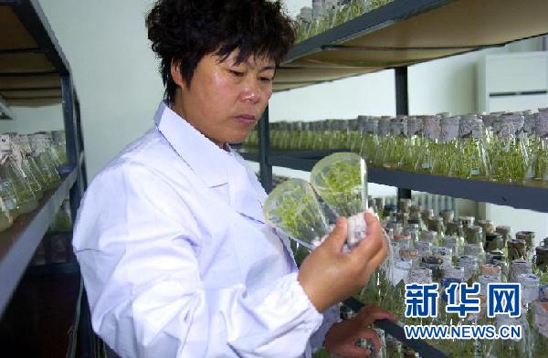 ���߻��㡤ͼ�Ļ�������7������������ƶ��