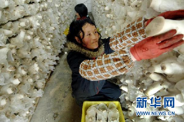 ���߻��㡤ͼ�Ļ�������9������������ƶ��