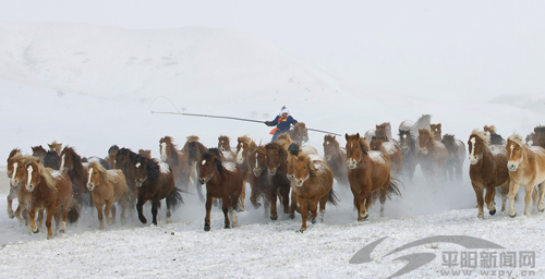 摄影风雪牧马人谢跃进