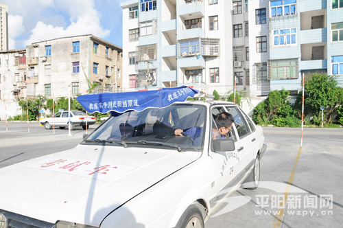 学生利用假期学车考驾照--平阳网