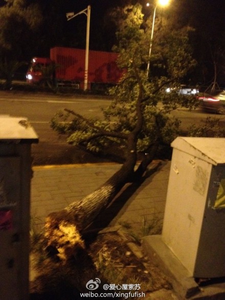 ΢���ţ�״Ԫ���һ�ô�������������