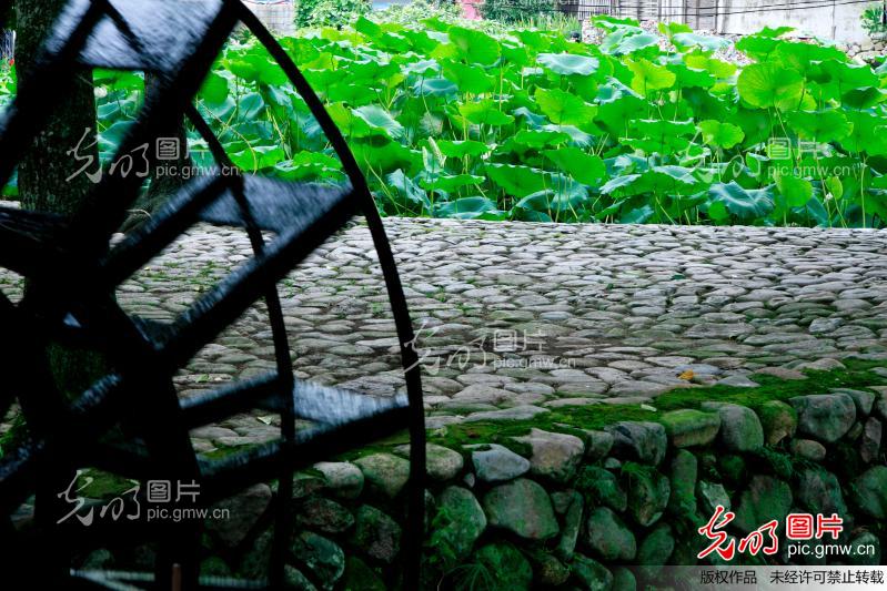 传统文化遗迹——永嘉楠溪江