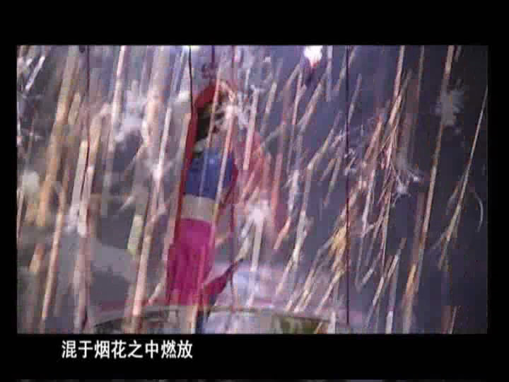 11��-������������ʣ�����ľż��