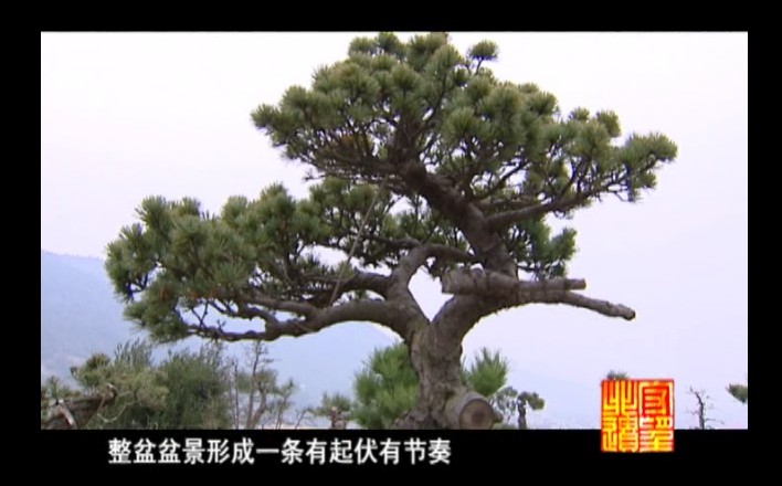 18��-���ֲõ�ͼǧ�ˣ��辰��