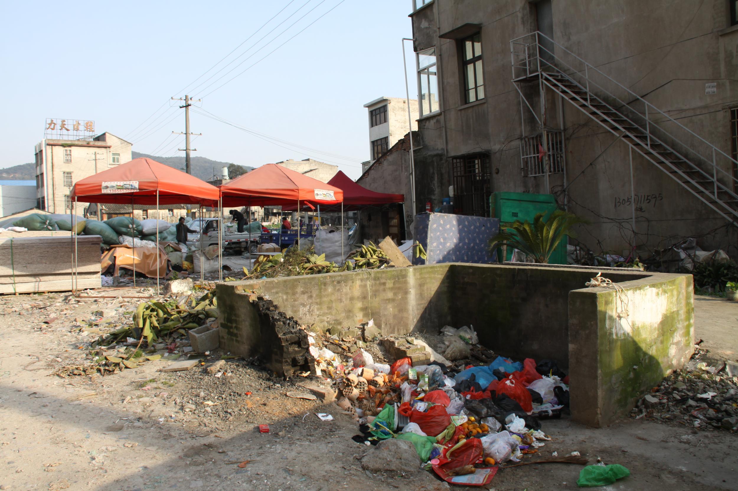 ����ͼ��������״Ԫ�ֵ���լ����״