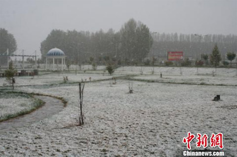 ͼΪ�½����ս�ͷƮ�Ŵ�ѩ����С����