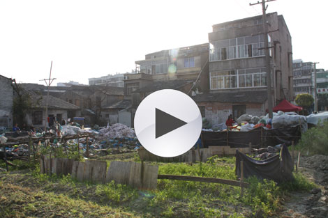 ��Ƶ������״Ԫ�ֵ�ȫ���ƽ���լ�������