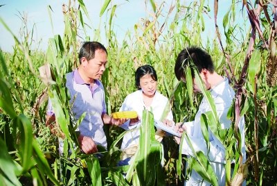 ÷԰ѩ(��)����乥�ء�����ͨѶԱ ��־����