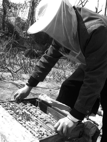 �л����ѵ������伸���������ֲ��������ǣ��