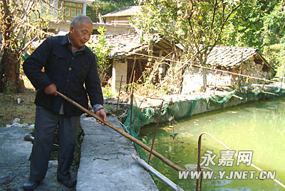 桥下光塘垟陈章自然村徐宗学:养殖鱼苗的能人