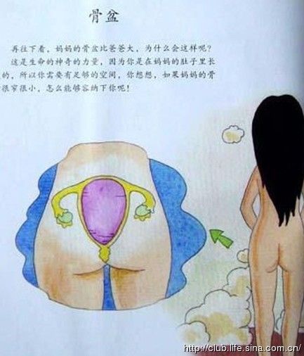 图解儿童性教育:解读男女<em>生殖器官</em>知识-<em>女孩</em>,男