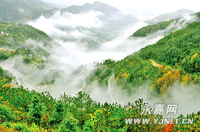 ����ʡ��ɭ�ֳ��� ������ɫ�Ҹ�����