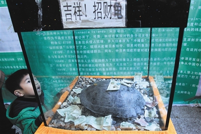 �ⳡ������չ��չ���ġ��вƹꡱ����������/��