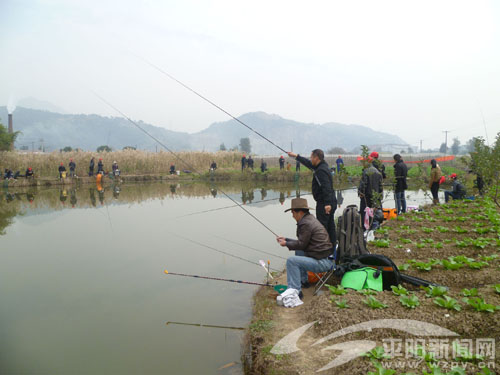萧江：桃源社区开展钓鱼比赛