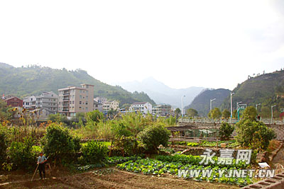 龙地村总人口