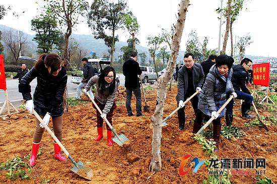 状元:植树造林开启新年工作第一天