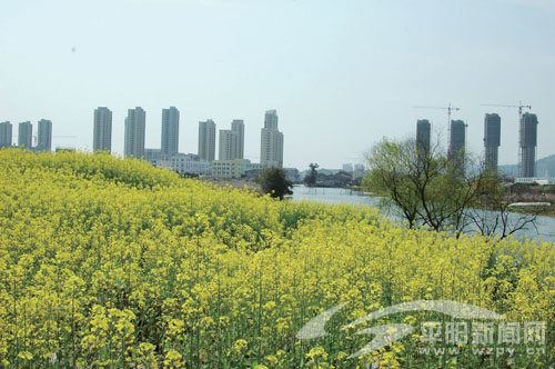 鳌江：推进“四边三化” 打造美丽鳌江