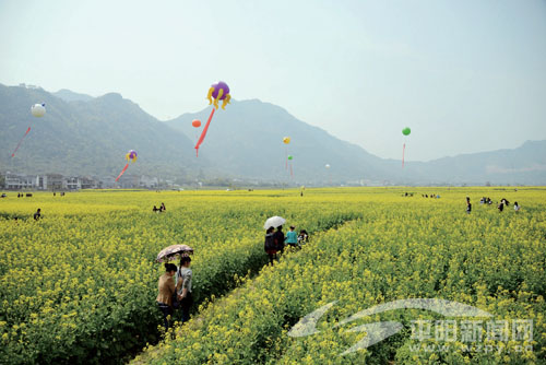 水头：南湖赏花经济走进春天里