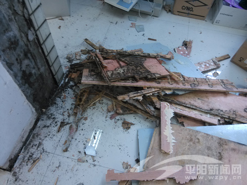 家有白蚁 请勿自行灭杀