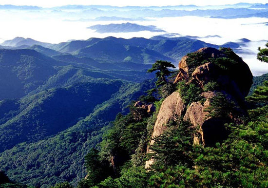 养生千山