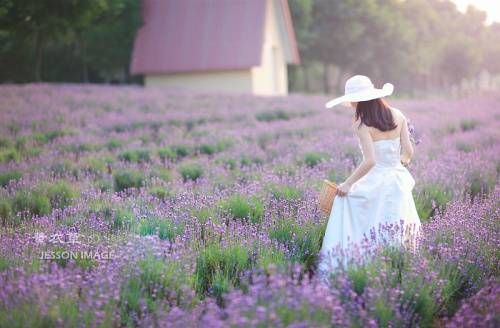 ޹�²���ʢ �̵��Ϻ����޹�²���԰