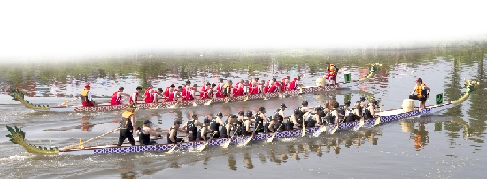 南滨林垟水乡上演“群龙争霸”--瑞安网