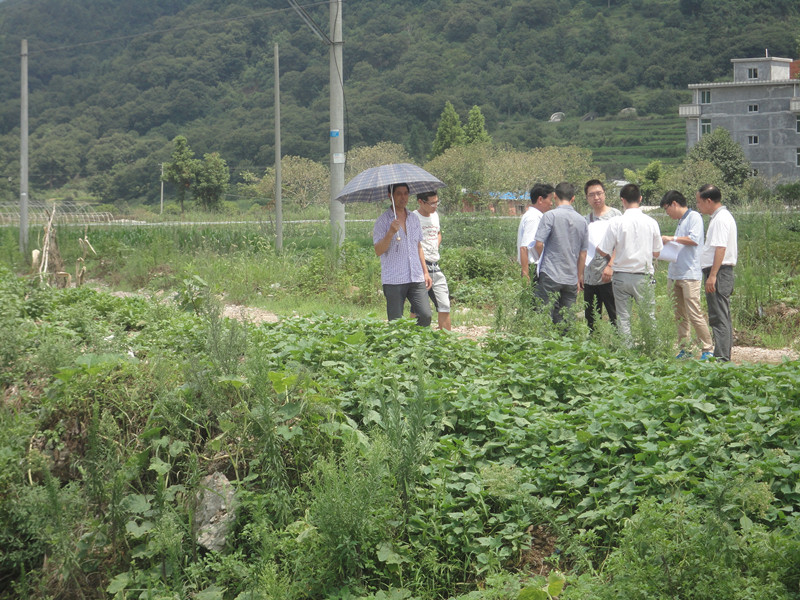 永嘉县枫林镇包岙人口_温州市永嘉县枫林镇包岙村(3)